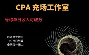 cpa充场工作室,号称单日收入10000+(揭秘)-八爪鱼资源库