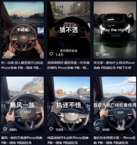 抖音开车视频项目,0基础操作,每天五分钟,月入1W+【揭秘】-八爪鱼资源库