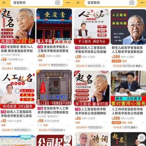 拆解小红书宝宝起名虚拟副业项目,一条龙实操玩法分享给你(教程+软件)-八爪鱼资源库