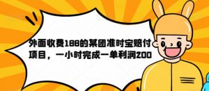 外面收费188的美团准时宝赔付项目，一小时完成一单利润200【仅揭秘】-八爪鱼资源库