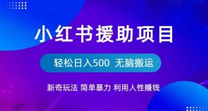 小红书援助项目新奇玩法,简单暴力,无脑搬运轻松日入500【揭秘】-八爪鱼资源库