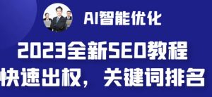 2023最新网站AI智能优化SEO教程，简单快速出权重，AI自动写文章+AI绘画配图-八爪鱼资源库