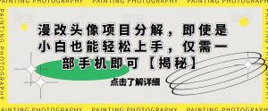 漫改头像项目分解,即使是小白也能轻松上手,仅需一部手机即可【揭秘】-八爪鱼资源库
