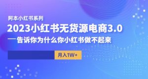 阿本小红书无货源电商3.0，告诉你为什么你小红书做不起来-八爪鱼资源库