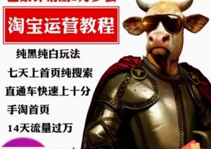 猫老师·淘系算法逆向解密,纯黑纯白玩法,七天上首页纯搜索,手淘首页14天流量过万-八爪鱼资源库