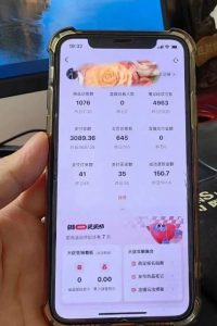 超级蓝海赛道保姆级教学,小红书无货源,无需实拍,如何做到日入1000+【揭秘】-八爪鱼资源库