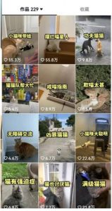 拆解:抖音盘点类中视频变现副业项目,视频版一条龙大解析分享给你-八爪鱼资源库