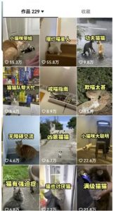 拆解抖音盘点类中视频变现副业项目,视频版一条龙大解析分享给你【视频课程】-八爪鱼资源库