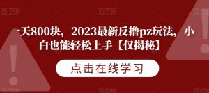 一天800块,2023最新反撸pz玩法,小白也能轻松上手【仅揭秘】-八爪鱼资源库