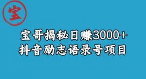 宝哥揭秘日赚3000+抖音励志语录号短视频变现项目-八爪鱼资源库