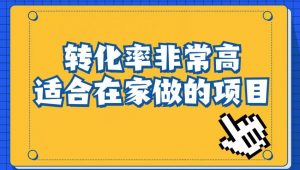 小红书虚拟电商项目:从小白到精英(视频课程+交付手册)-八爪鱼资源库