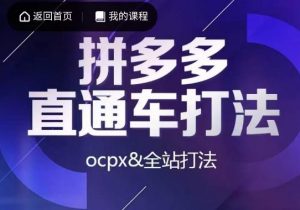 互力·拼多多直通车打法，ocpx&全站打法-八爪鱼资源库