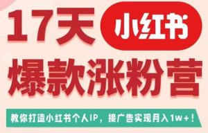 17天小红书爆款涨粉营(广告变现方向),教你打造小红书博主IP、接广告变现的-八爪鱼资源库