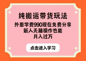 纯搬运带货玩法,外面学费990现在免费分享,新人无脑操作也能月入过万【揭秘】-八爪鱼资源库