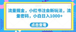 流量掘金,小红书注会新玩法,流量密码,小白日入1000+【揭秘】-八爪鱼资源库