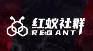 社群运营:红蚁社群【48节落地系统课程+2000人高端社群】-八爪鱼资源库