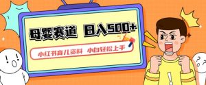 小红书育儿资料,一部手机可操作,多种变现方式,日入500+,私域变现,长期可持续项目【揭秘】-八爪鱼资源库