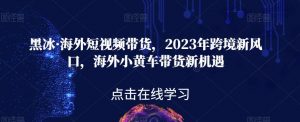 黑冰·海外短视频带货,2023年跨境新风口,海外小黄车带货新机遇-八爪鱼资源库