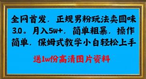 全网首发正规男粉玩法卖圆味3.0,月入5W+,简单粗暴,操作简单,保姆式教学,小白轻松上手-八爪鱼资源库