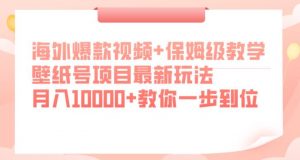 海外爆款视频+保姆级教学，壁纸号项目最新玩法，月入10000+教你一步到位【揭秘】-八爪鱼资源库