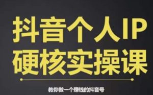 个人IP创富系统实战课,商业定位,流量打造,短视频变现,教你做个赚钱的抖音号-八爪鱼资源库