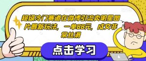 超级冷门赛道在微博引流卖明星图片最新玩法，一单88元，成交非常丝滑【揭秘】-八爪鱼资源库