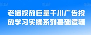 老猫投放巨量千川广告投放学习实操系列基础逻辑-八爪鱼资源库