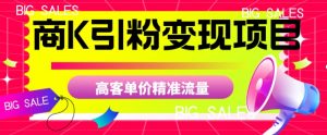 商K引粉变现项目，高客单价精准流量【揭秘】-八爪鱼资源库