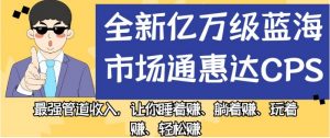 全新亿万级蓝海市场通惠达cps，最强管道收入，让你睡着赚、躺着赚、玩着赚、轻松赚【揭秘】-八爪鱼资源库