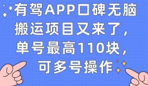 有驾APP口碑无脑搬运项目又来了，单号最高110块，可多号操作-八爪鱼资源库