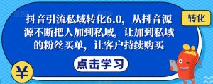 抖音引流私域转化6.0,从抖音源源不断把人加到私域,让加到私域的粉丝买单,让客户持续购买-八爪鱼资源库