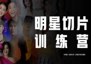 王子·明星切片线上训练营（2023），和明星一起拿红利，让明星为我们赚钱-八爪鱼资源库