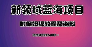 虚拟资源蓝海领域新项目，轻松日入800＋，附保姆级教程及资料-八爪鱼资源库