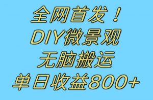 全网首发冷门赛道！DIY微景观，无脑搬运视频，日收益800+【揭秘】-八爪鱼资源库