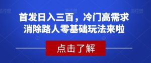 首发日入三百，冷门高需求消除路人零基础玩法来啦【揭秘】-八爪鱼资源库