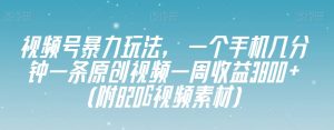 视频号暴力玩法，一个手机几分钟一条原创视频一周收益3800+（附820G视频素材）-八爪鱼资源库