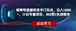 视频号直播带货冷门玩法，日入1000+，小白专属项目，从0到1实战教学【揭秘】-八爪鱼资源库