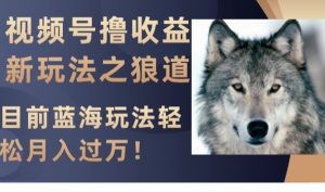 视频号撸收益新玩法之狼道,目前蓝海玩法,轻松月入过万【揭秘】-八爪鱼资源库