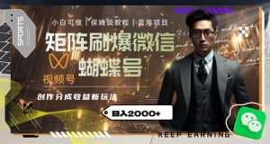 矩阵刷爆微信蝴蝶号创作者分成计划收益的新玩法,日入2000+【揭秘】-八爪鱼资源库