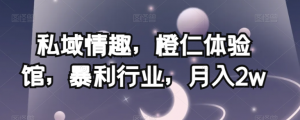 私域情趣，橙仁体验馆，暴利行业，月入2w【揭秘】-八爪鱼资源库