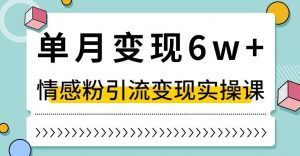 单月变现6W+，抖音情感粉引流变现实操课，小白可做，轻松上手，独家赛道【揭秘】-八爪鱼资源库