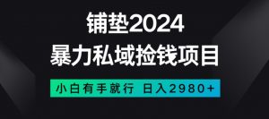 暴力私域捡钱项目,小白无脑操作,日入2980【揭秘】-八爪鱼资源库