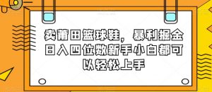 卖莆田篮球鞋,暴利掘金日入四位数新手小白都可以轻松上手【揭秘】-八爪鱼资源库
