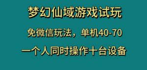 梦幻仙域游戏试玩,免微信玩法,单机40-70,一个人同时操作十台设备【揭秘】-八爪鱼资源库