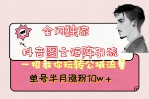 全网独家抖音图文矩阵引流,一招教你玩转公域流量,单号半月涨粉10w+【揭秘】-八爪鱼资源库