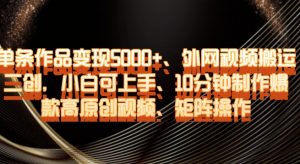 单条作品变现5000+、外网视频搬运二创，小白可上手，10分钟制作爆款高原创视频，矩阵操作【揭秘】-八爪鱼资源库
