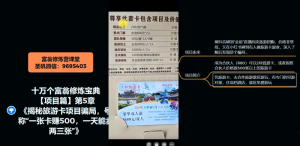 十万个富翁修炼宝典之5.揭秘旅游卡项目骗局,号称“一张卡赚500,一天能卖两三张”-八爪鱼资源库