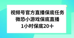 视频号直播任务，微恐小游戏，1小时20+【揭秘】-八爪鱼资源库