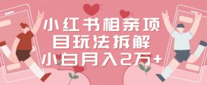 小红书相亲项目玩法拆解,有人通过这个副业项目做到了月收入2万多【揭秘】-八爪鱼资源库