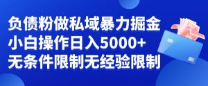 负债粉私域暴力掘金，小白操作入5000，无经验限制，无条件限制【揭秘】-八爪鱼资源库